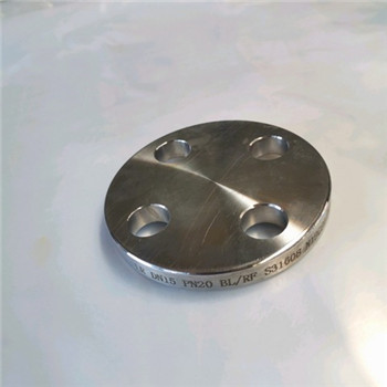 ANSI / DIN kovani ugljik / nehrđajući čelik Pn10 / 16 zarez za zavarivanje / slijepi / navlačni / ravni / RF / FF prirubnice cijevi 